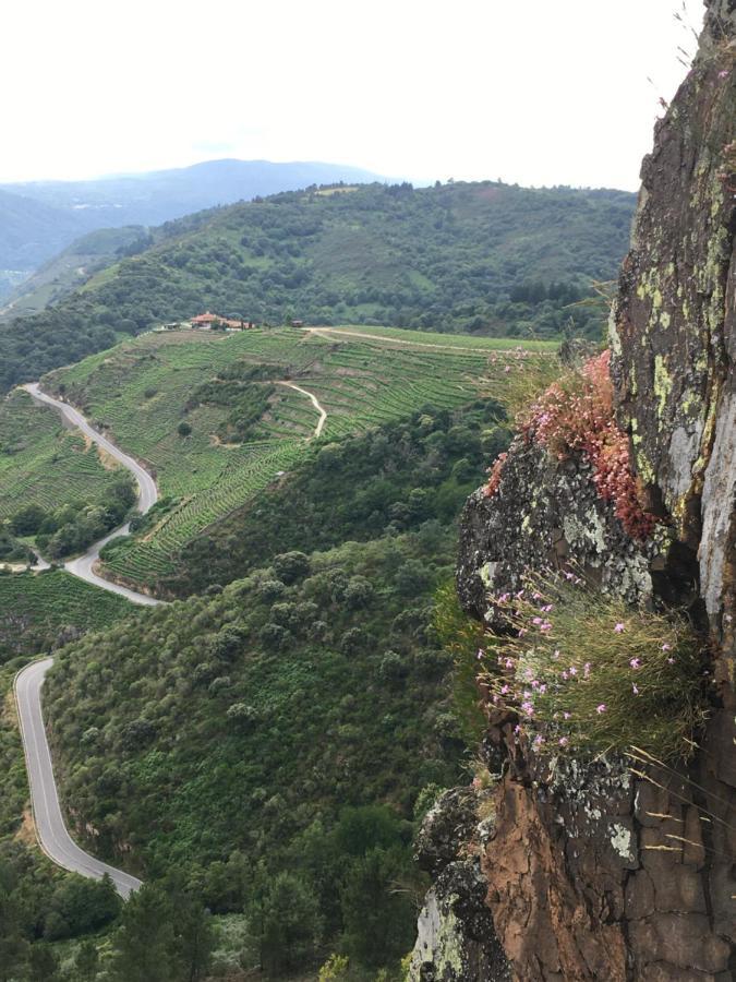 Отель O Fogar Do Monte Собер Экстерьер фото
